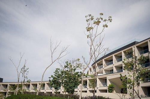 mobile - carousel-hero-element image-2