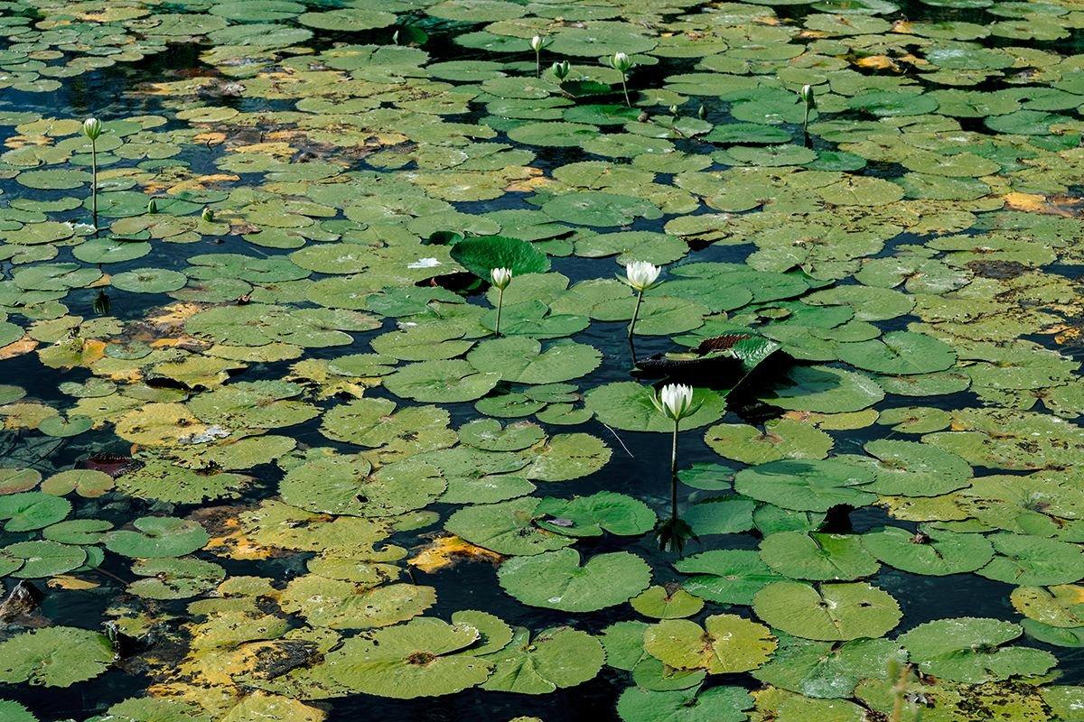 carousel-hero-element image-4