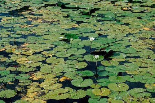 mobile - carousel-hero-element image-4